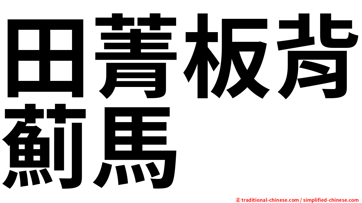 田菁板背薊馬