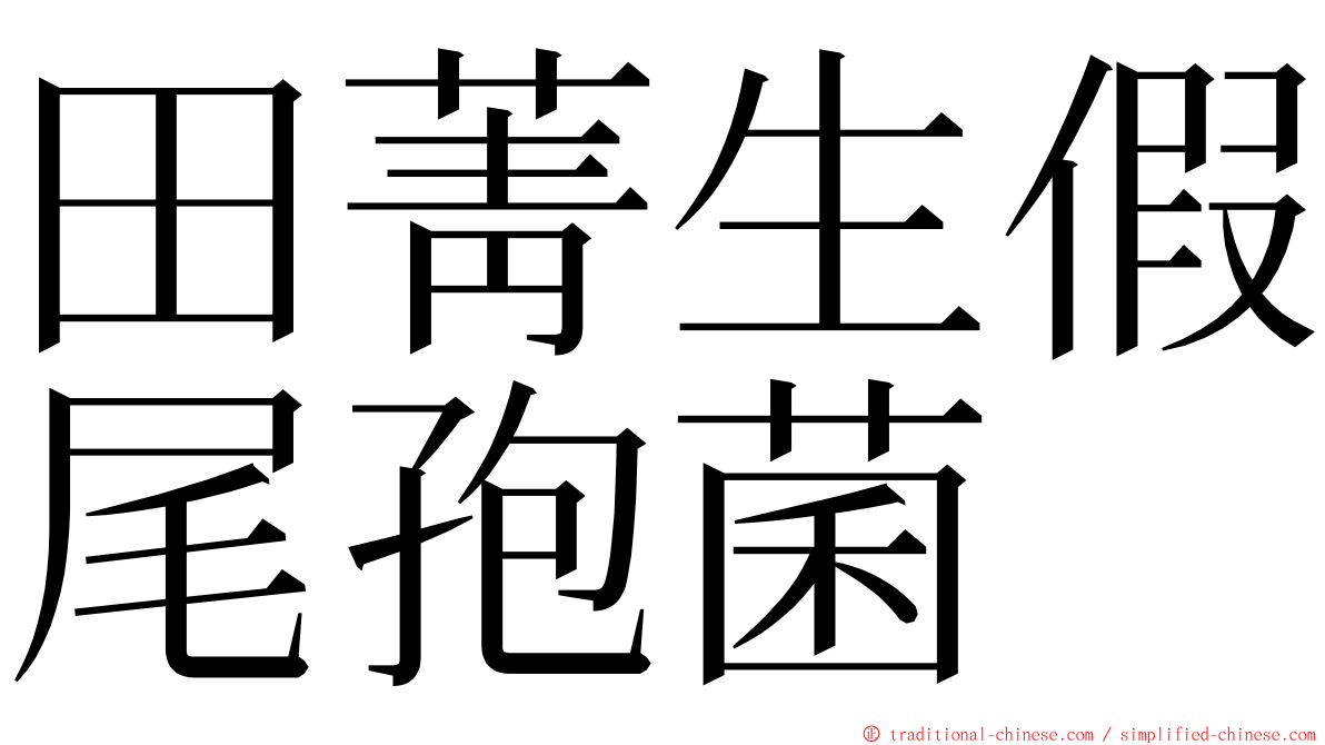 田菁生假尾孢菌 ming font