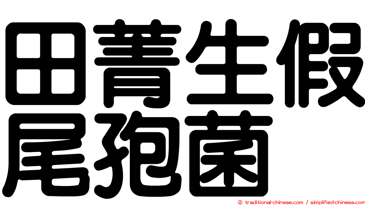 田菁生假尾孢菌