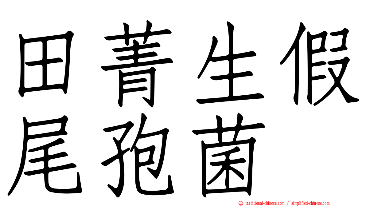 田菁生假尾孢菌