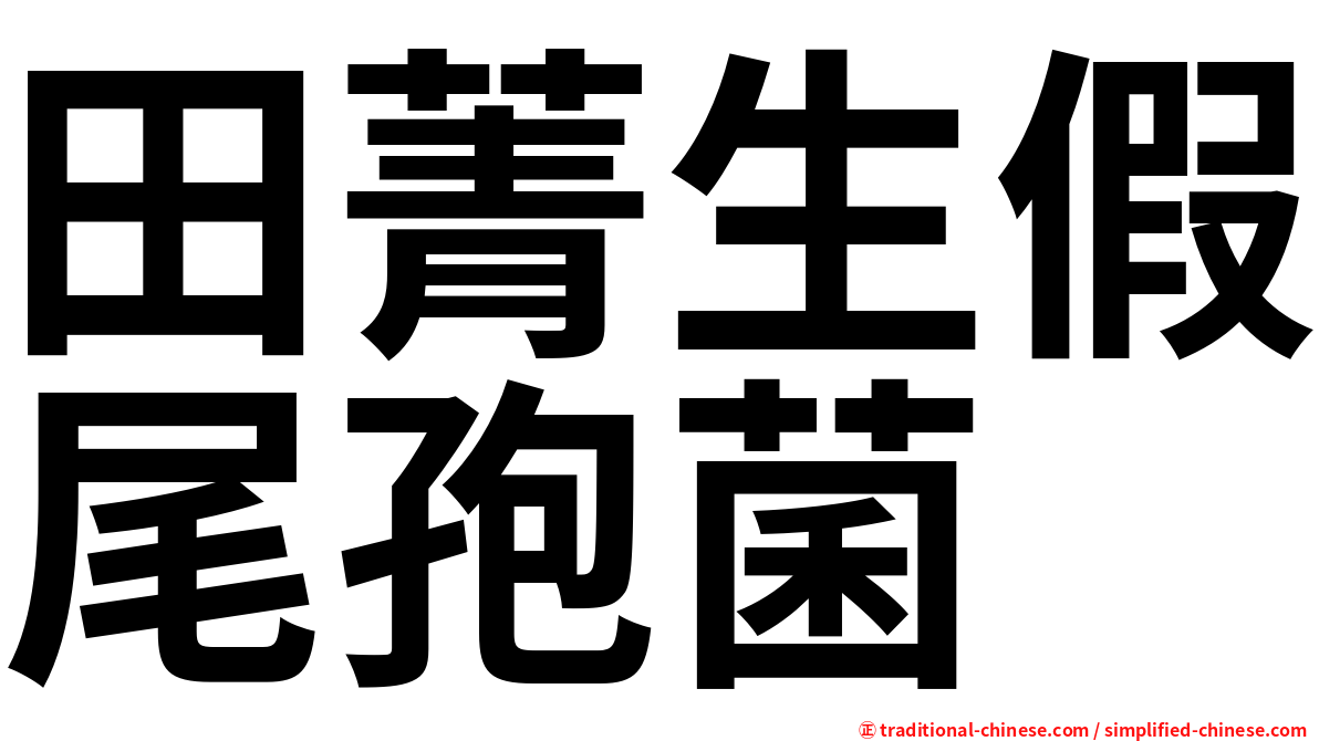 田菁生假尾孢菌