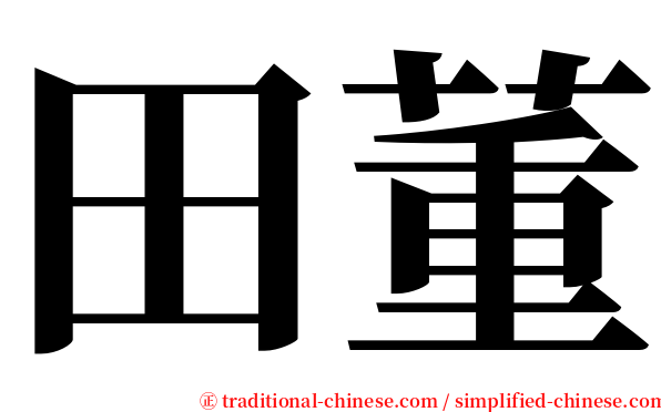 田董 serif font