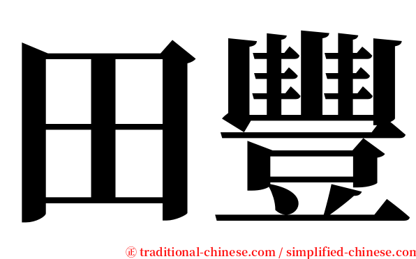 田豐 serif font