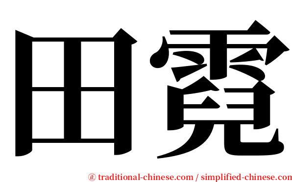 田霓 serif font