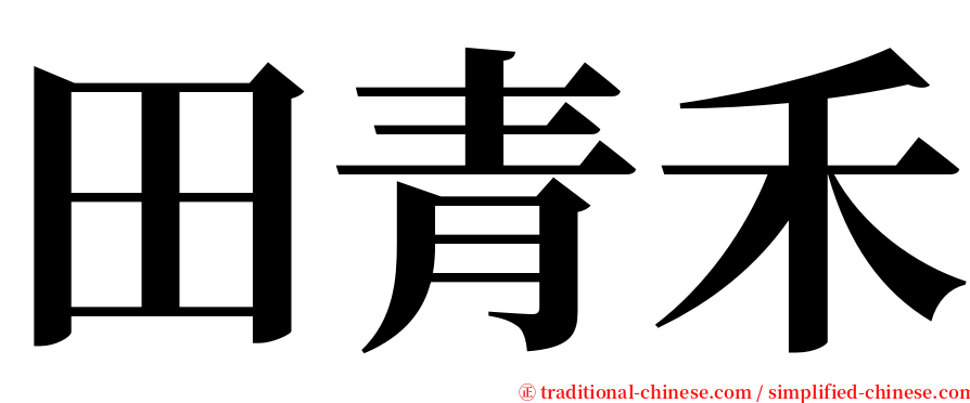 田青禾 serif font