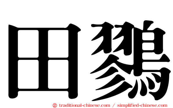 田鷚