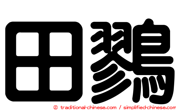 田鷚