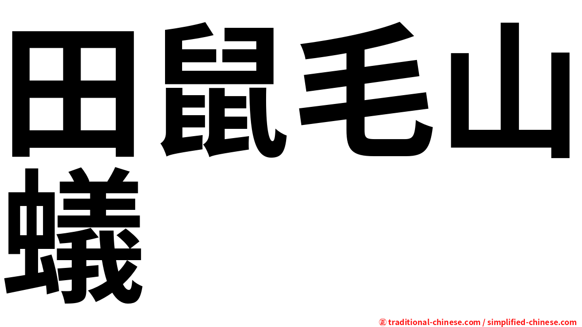 田鼠毛山蟻