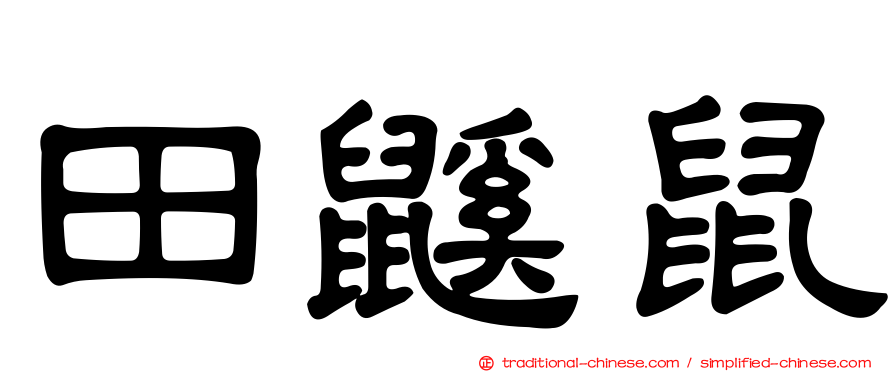 田鼷鼠