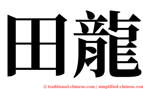 田龍 serif font