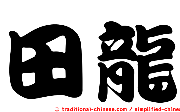 田龍