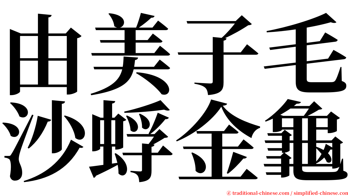 由美子毛沙蜉金龜 serif font