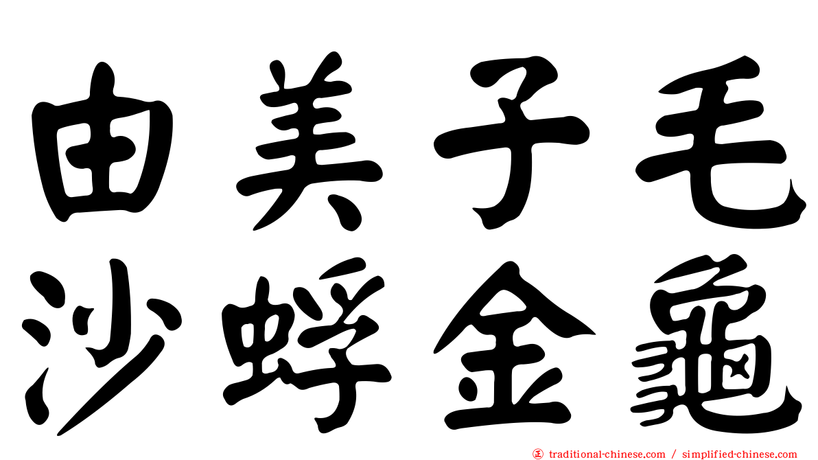 由美子毛沙蜉金龜