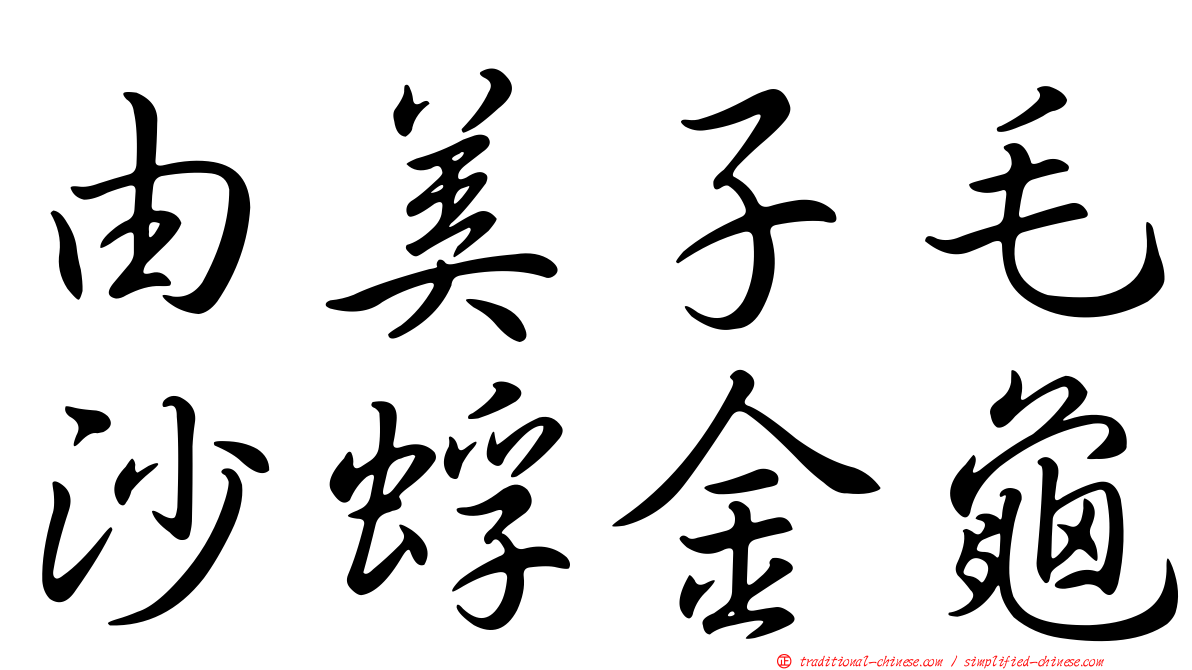 由美子毛沙蜉金龜