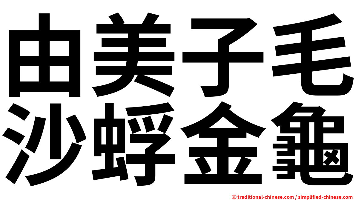 由美子毛沙蜉金龜
