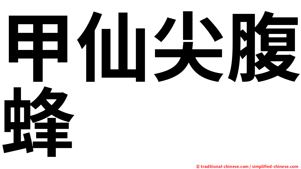 甲仙尖腹蜂