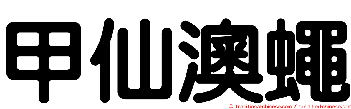 甲仙澳蠅
