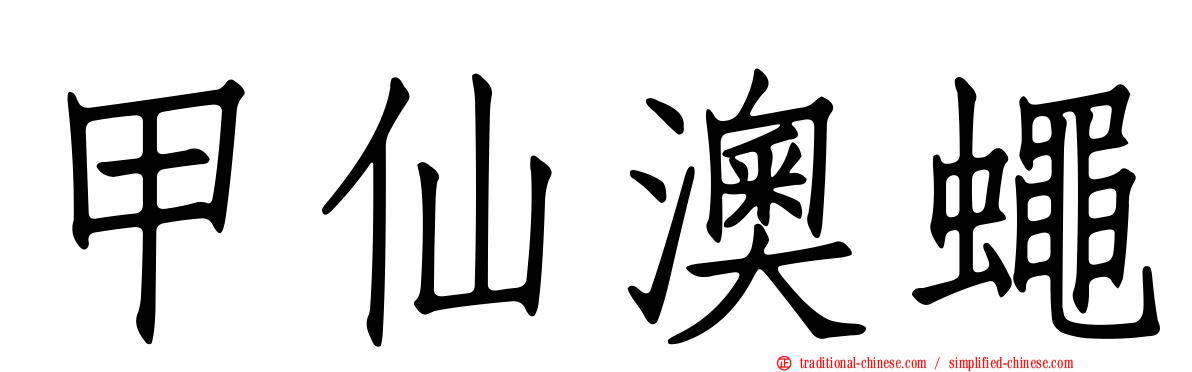 甲仙澳蠅