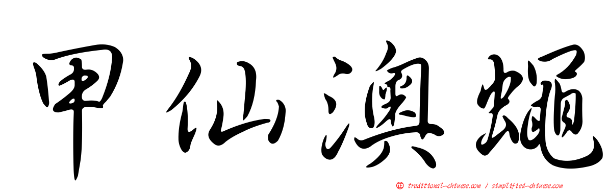 甲仙澳蠅
