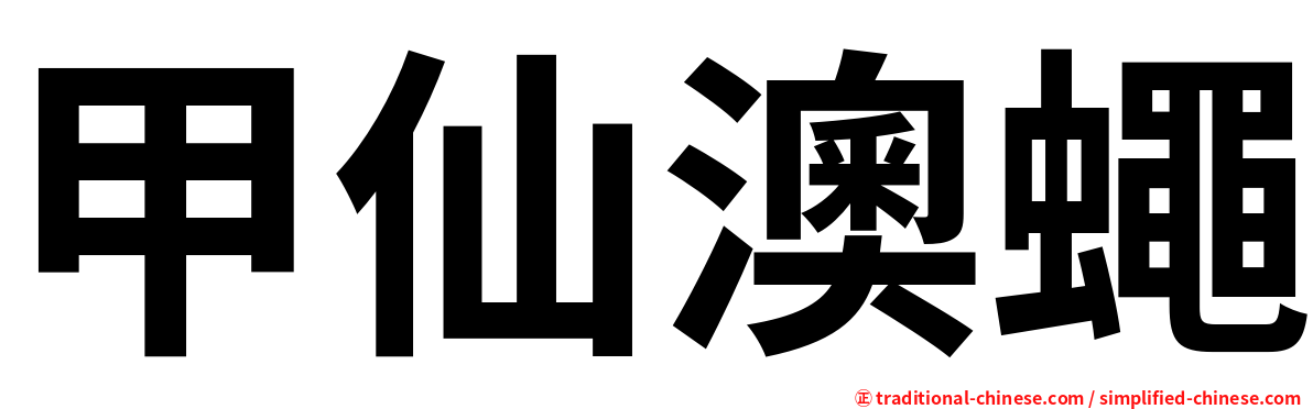 甲仙澳蠅