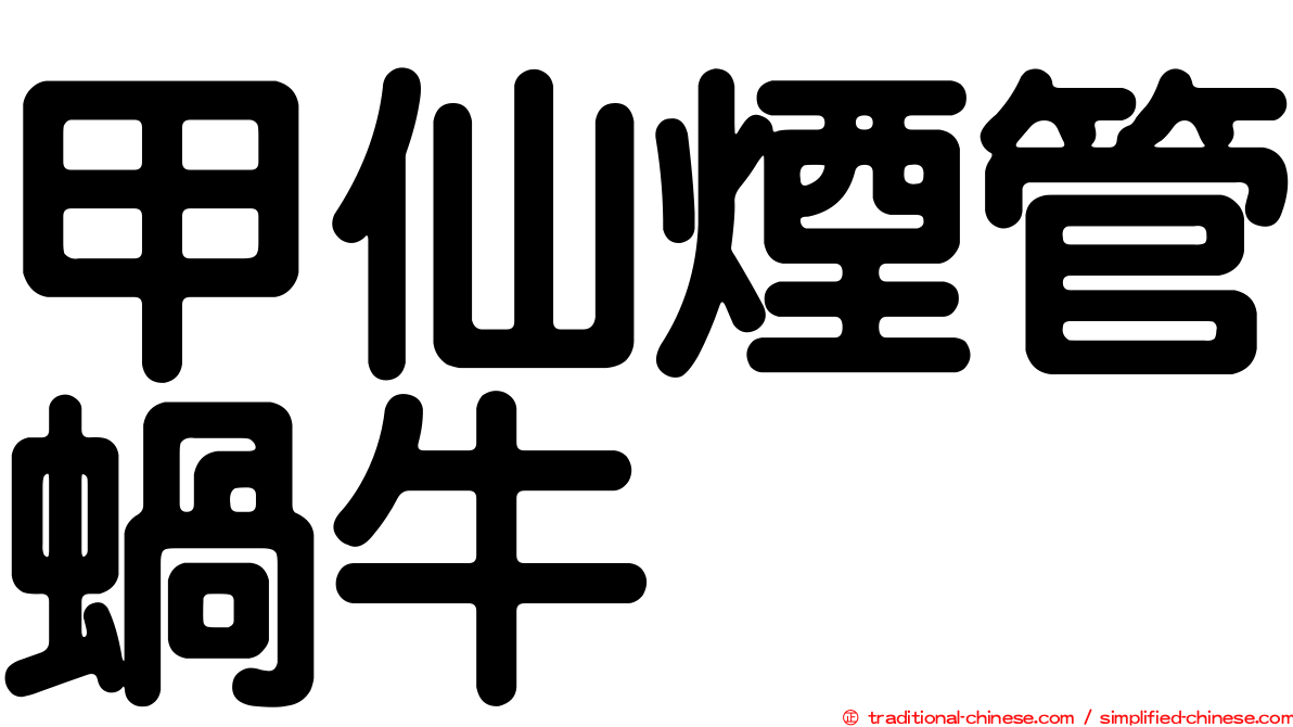 甲仙煙管蝸牛