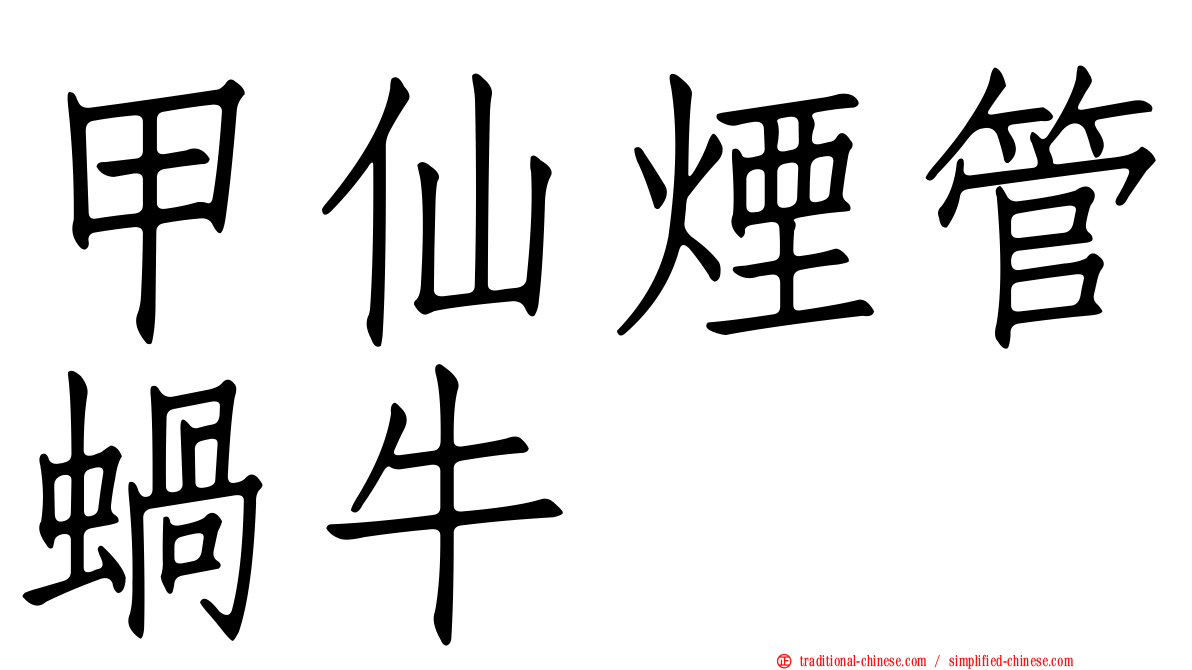 甲仙煙管蝸牛