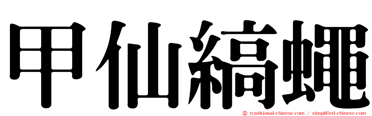 甲仙縞蠅