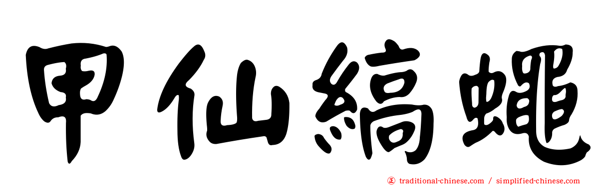 甲仙縞蠅