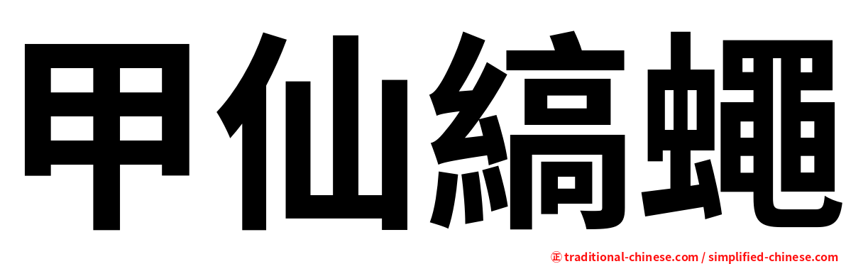 甲仙縞蠅