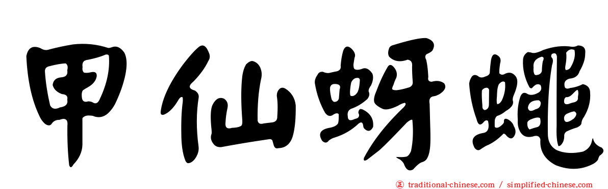 甲仙蚜蠅