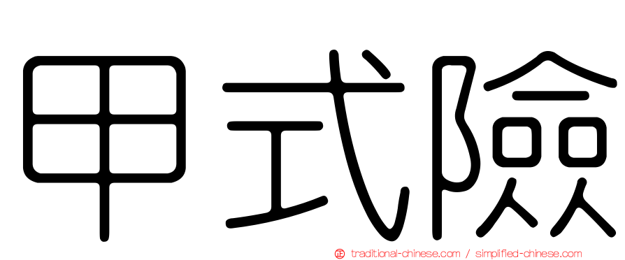 甲式險