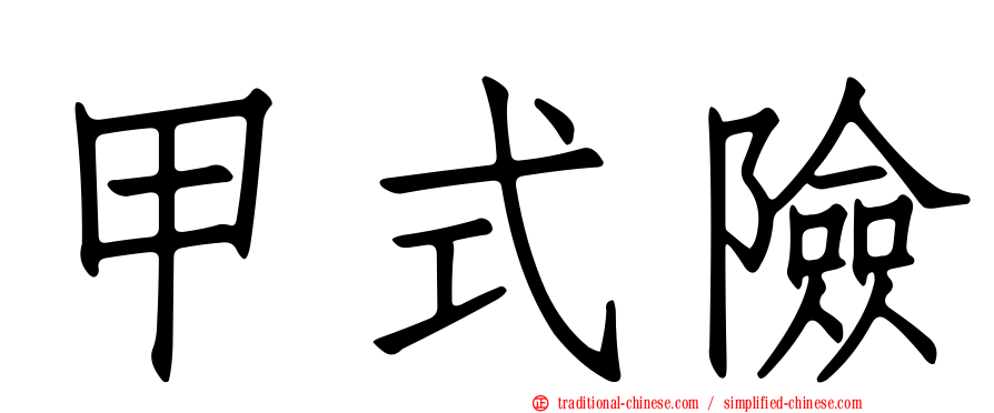 甲式險