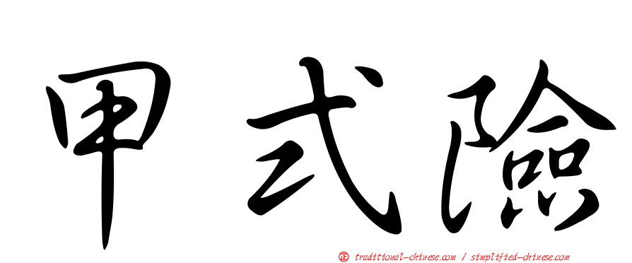 甲式險