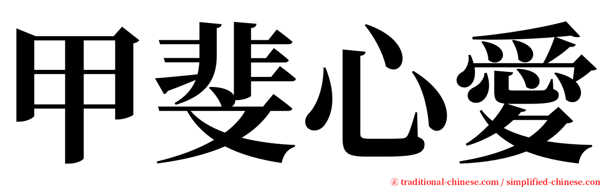 甲斐心愛 serif font