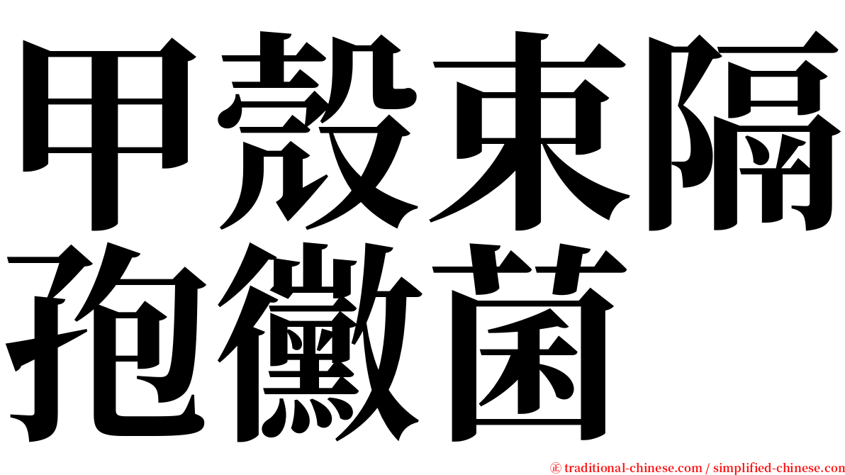 甲殼束隔孢黴菌 serif font