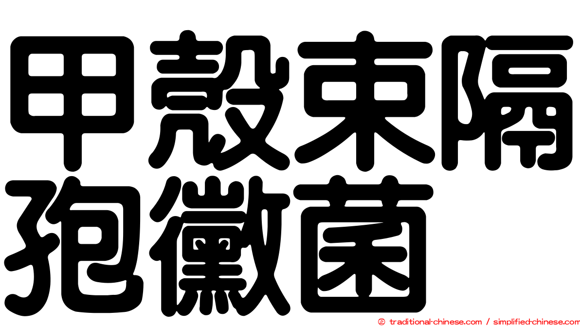 甲殼束隔孢黴菌