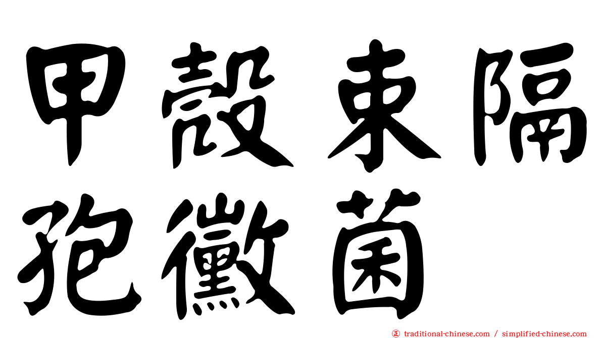 甲殼束隔孢黴菌