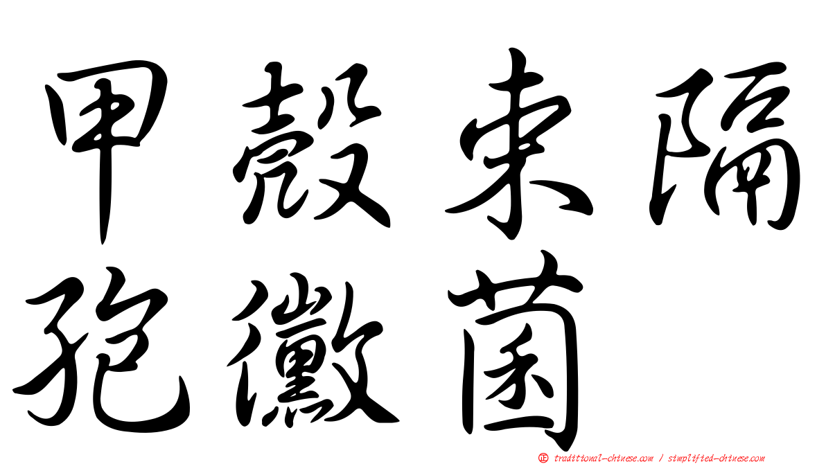 甲殼束隔孢黴菌