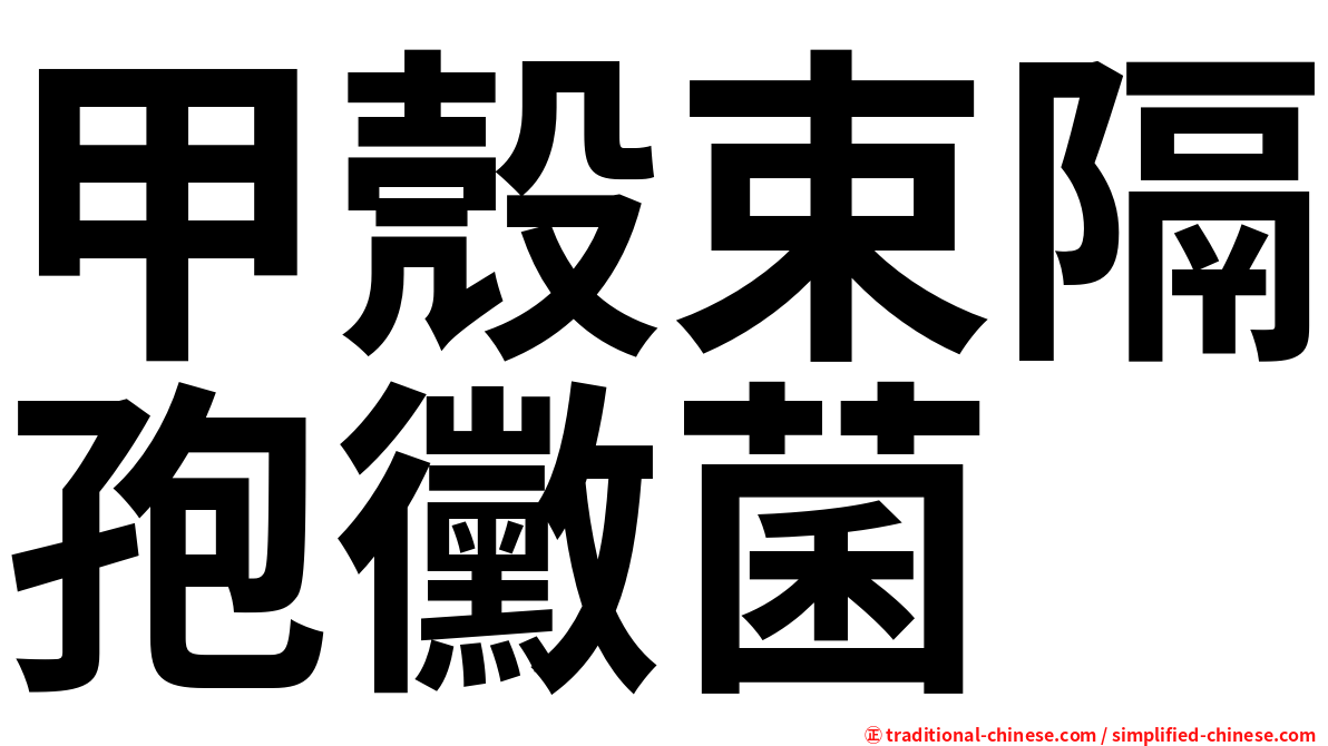 甲殼束隔孢黴菌