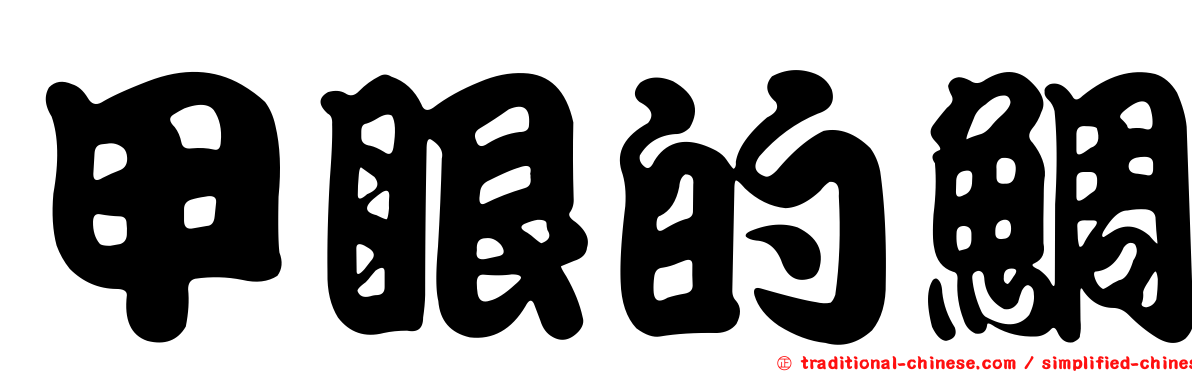 甲眼的鯛