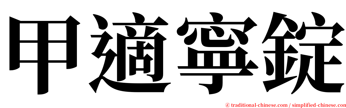 甲適寧錠 serif font