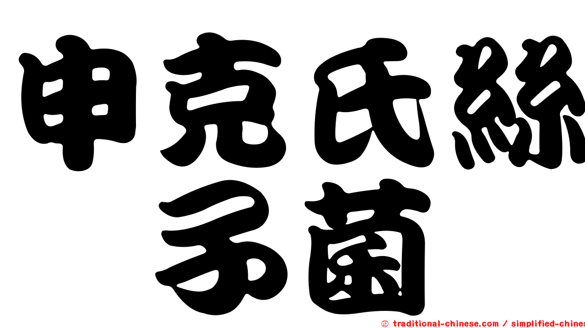 申克氏絲孢子菌