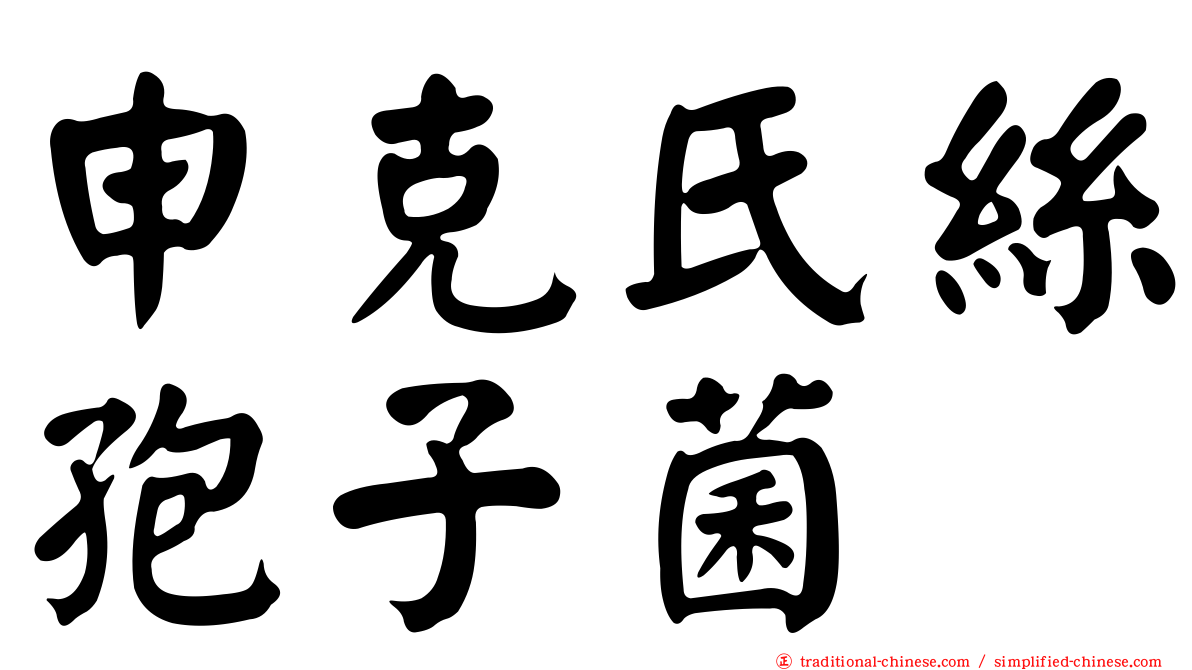 申克氏絲孢子菌