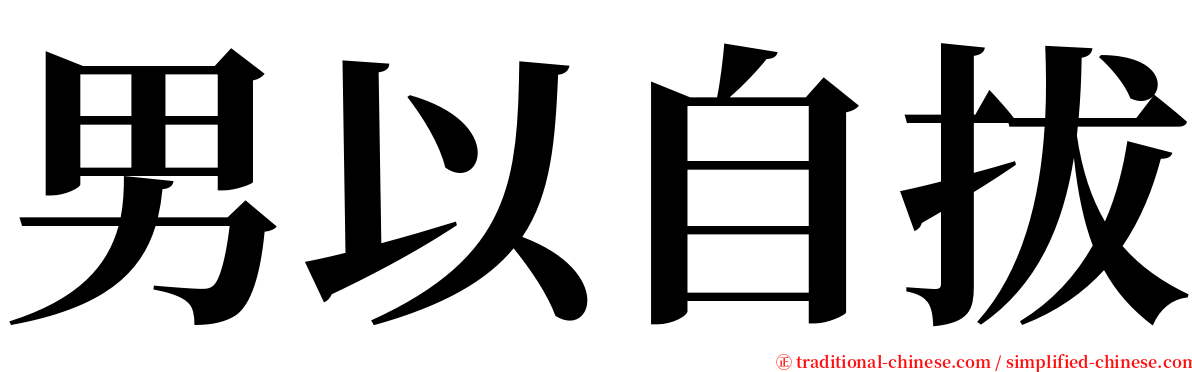 男以自拔 serif font