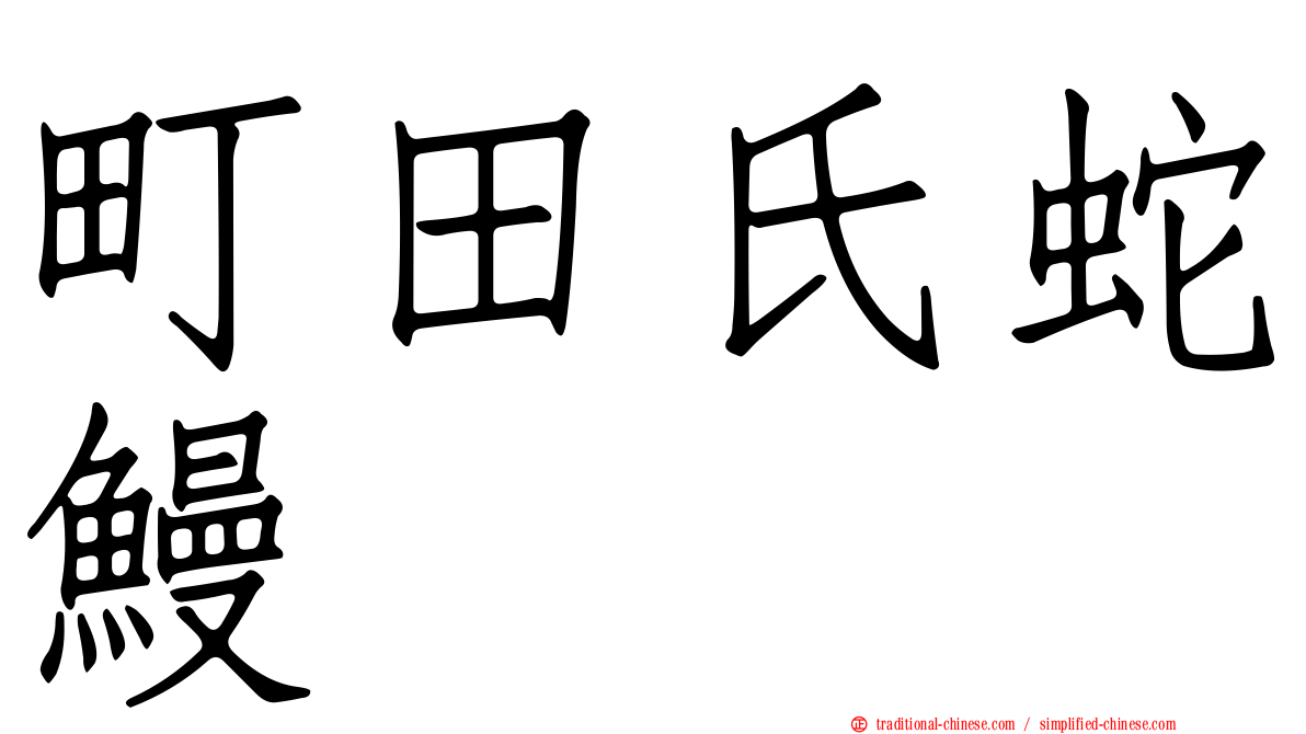 町田氏蛇鰻