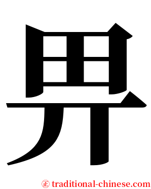 畀 serif font