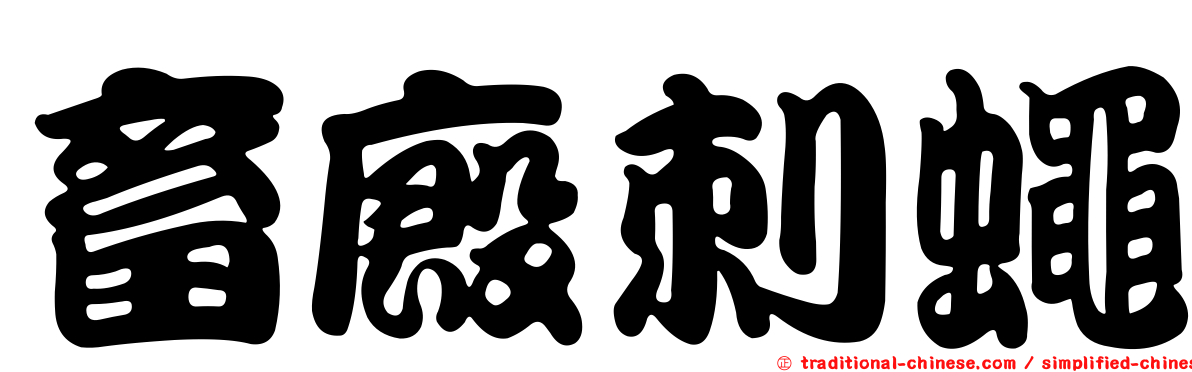 畜廄刺蠅