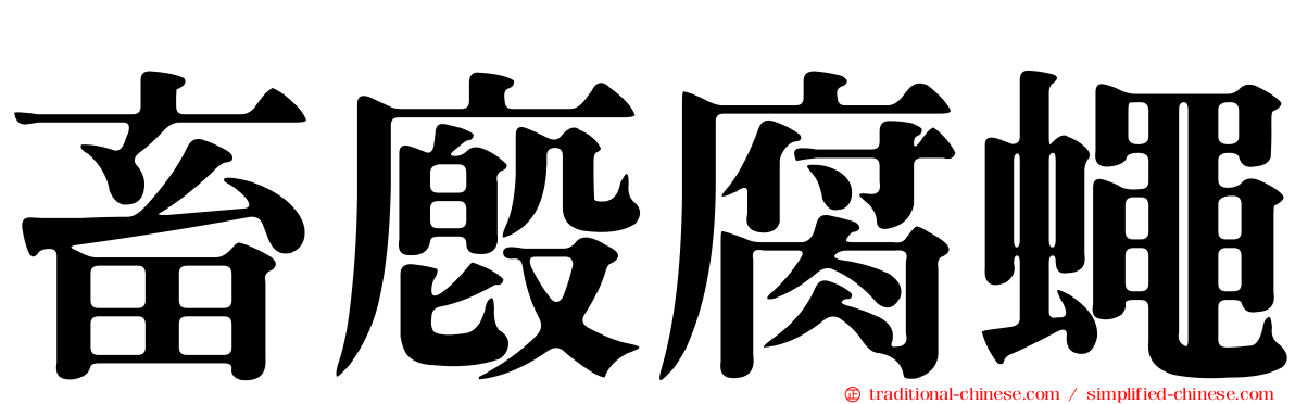 畜廄腐蠅