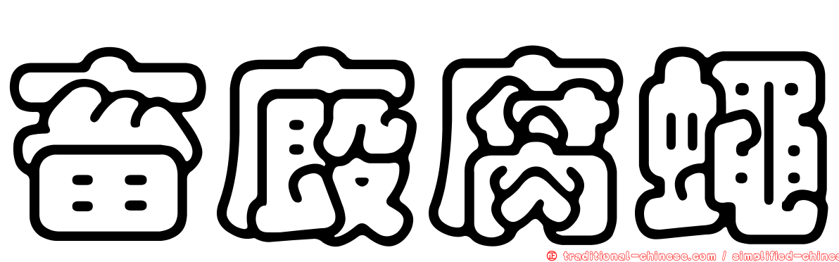 畜廄腐蠅