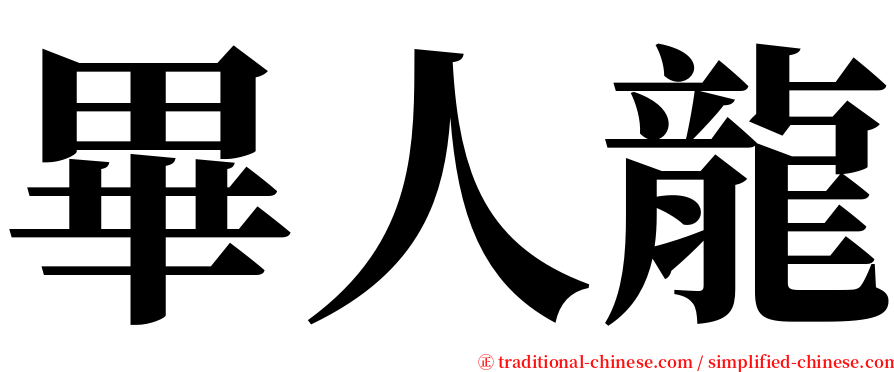 畢人龍 serif font